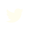 Go to my Twitter